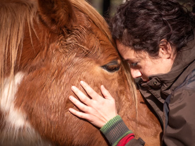 equine therapy