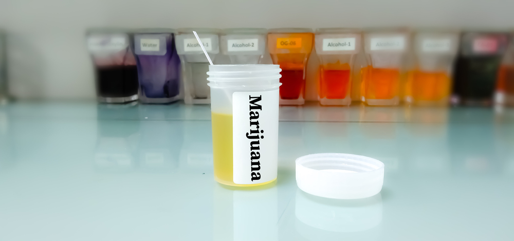 This article clarifies why edibles show up in drug tests no matter the amount you consume, as well as the risks and long-term effects of eating edibles and high amounts of THC.