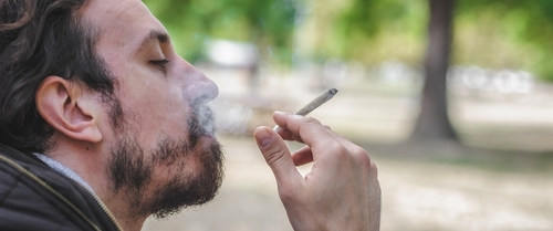 Dealers sometimes mix unknown substances with hashish to make it appear larger and more expensive.